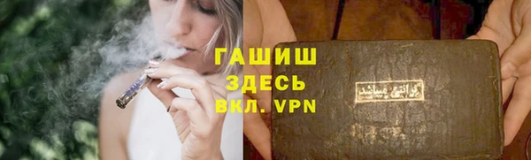 прущие грибы Балахна
